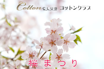 ginza cottonclub sakura